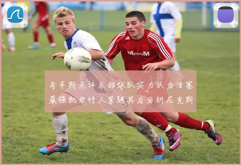 考辛斯点评东部球队实力认为活塞最强凯尔特人紧随其后分析尼克斯不足之处